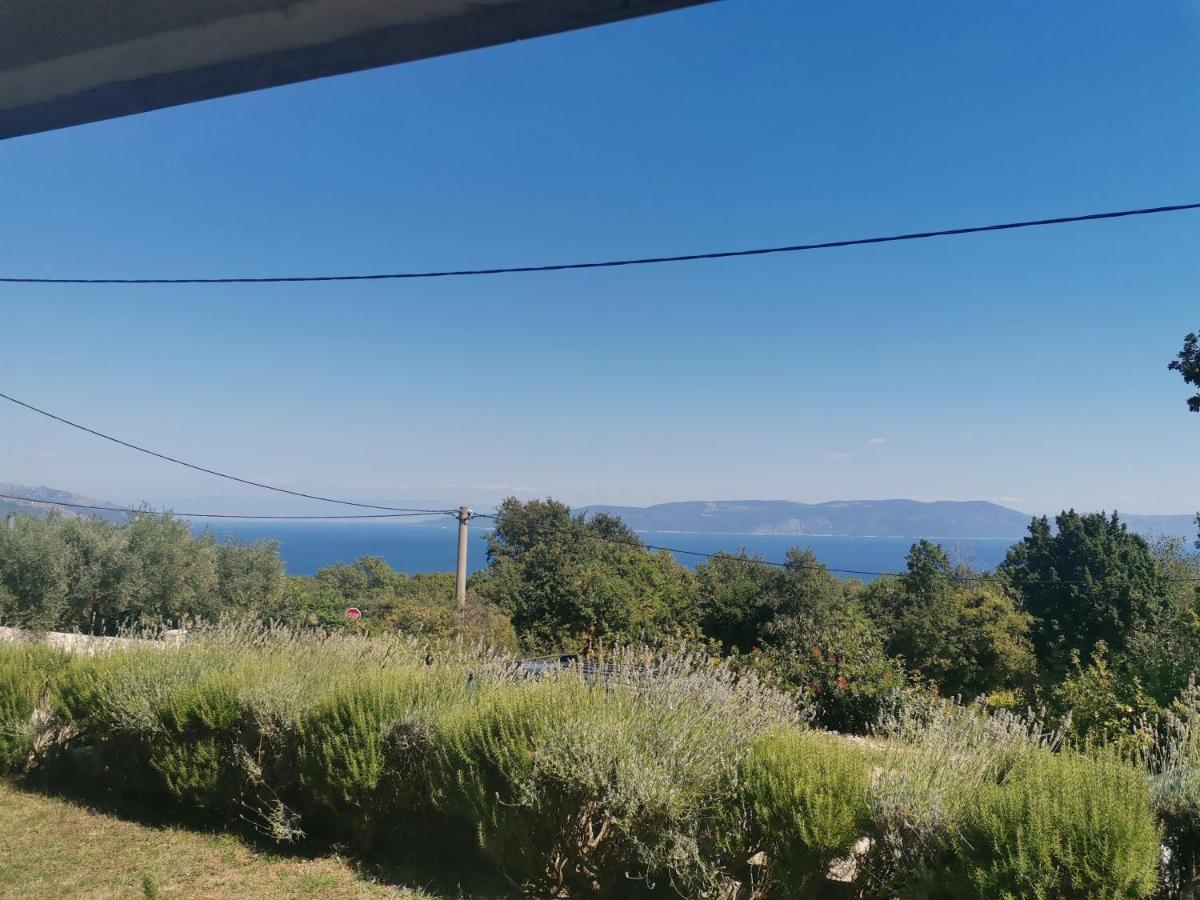 Apartmani Tia Drenje  Buitenkant foto